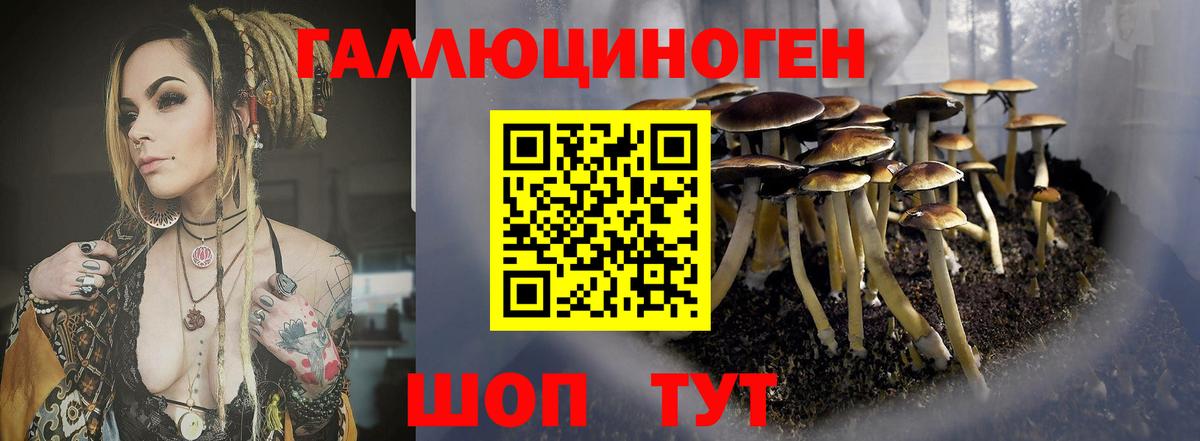 Альфа ПВП  Плюхи  Саратов  Вход с VPN  Каннабис  Мяу-Мяу  COCAIN 